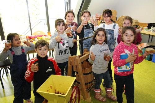 Die Kinder sammelten Äpfel auf einer Streuobstwiese und pressten daraus leckeren Saft. (Foto: OBK)