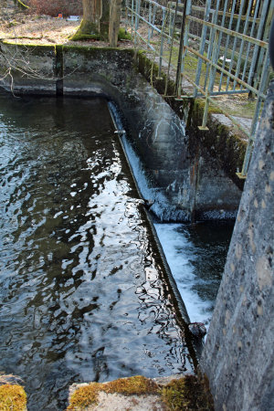 Um den Druck auf den Damm am Beverteich zu verringern, wurde die Wehrklappe gelegt. (Foto: OBK)