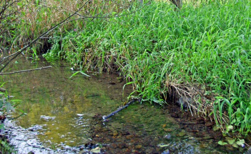 Weil Bäche und Flüsse jetzt wenig Wasser führen, bittet das Umweltamt des Oberbergischen Kreises um sparsame Nutzung. (Foto: OBK)