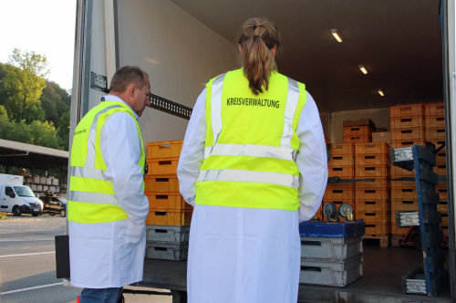 Mitarbeitende des Oberbergischen Kreises haben insgesamt 14 Lebensmitteltransporter kontrolliert. (Foto: OBK)