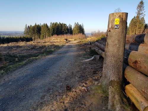 Unterstützung zum Erhalt der Wanderwege: Waldbesitzer und Forstbetriebe sägen bei gerodeten Flächen die Baumstümpfe über den Markierungszeichen ab. (Foto: Naturpark Bergisches Land)