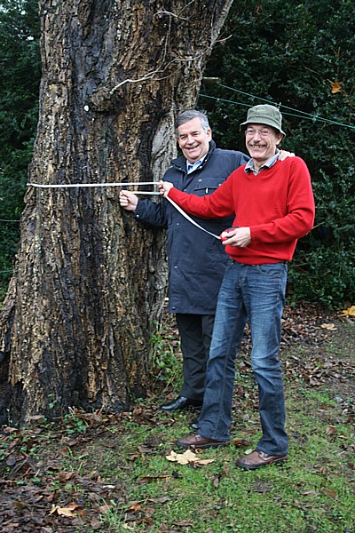 Landrat Jobi und Meinhard Spaunhorst bei der Messung des Stammumfangs des wahrscheinlich umfangstärksten Walnussbaums Deutschlands (Bild: OBK)