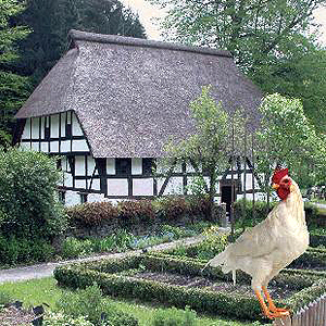 In Haus Dahld dreht sich am Sonntag alles rund ums Thema Hühner. (Foto: Gambke)