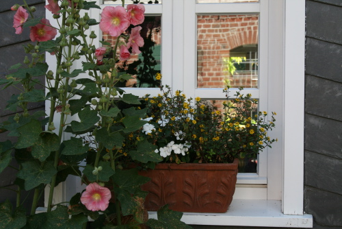 Blumenschmuck grüßte an zahlreichen (Fachwerk)-Häusern (Foto: OBK)