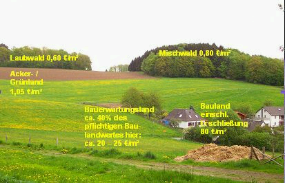 Das Foto zeigt ein ländliches Gebiet mit eingetragenen ausgesuchten Bodenwerten für diesen Raum