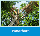 Logo Panarbora Logo Panarbora