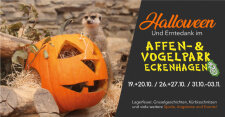 Banner zu den Halloween-Veranstaltungen.