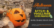 Flyer der Veranstaltung