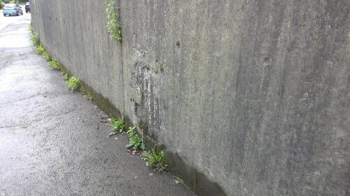 Stützwand Detailaufnahme