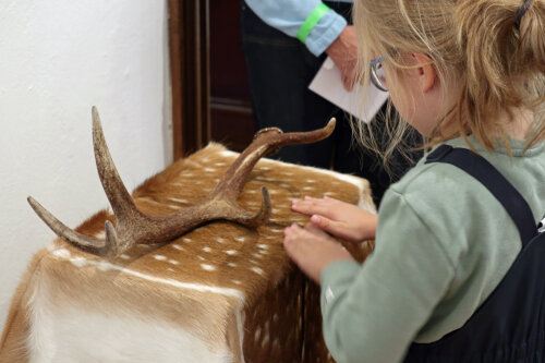 Die (historische) Jagd wird im Schlossmuseum gut vermittelt. Nikita (5 Jahre) testet, wie sich dieses Fell anfühlt. (Foto: OBK)    
