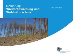 Präsentation Wiederbewaldung und Waldnaturschutz