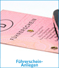 Logo Führerschein