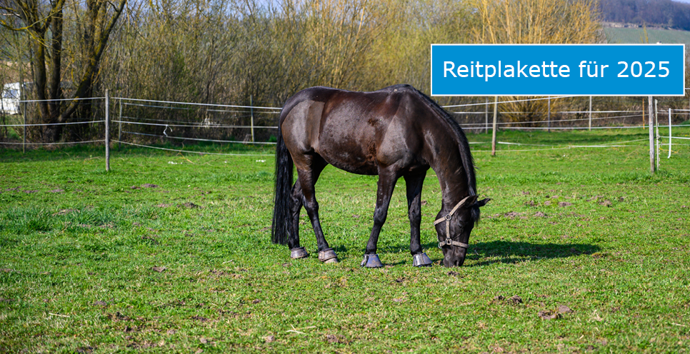 Sliderfoto Reitplakette- (Foto: Bild von wirestock auf Freepik)