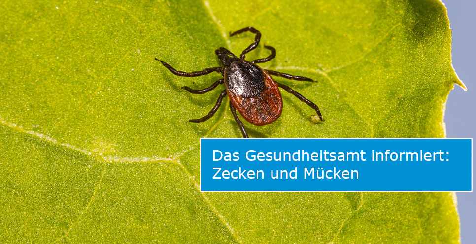 Sliderfoto Zecke (Foto: Pixabay - Erik Karits) Sliderfoto Zecke (Foto: Pixabay - Erik Karits)