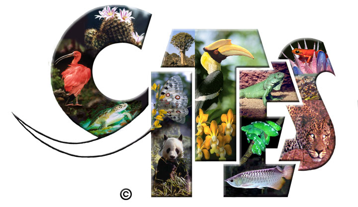 Logo CITES ((Convention on International Trade in Endangered Species of Wild Flora and Fauna)