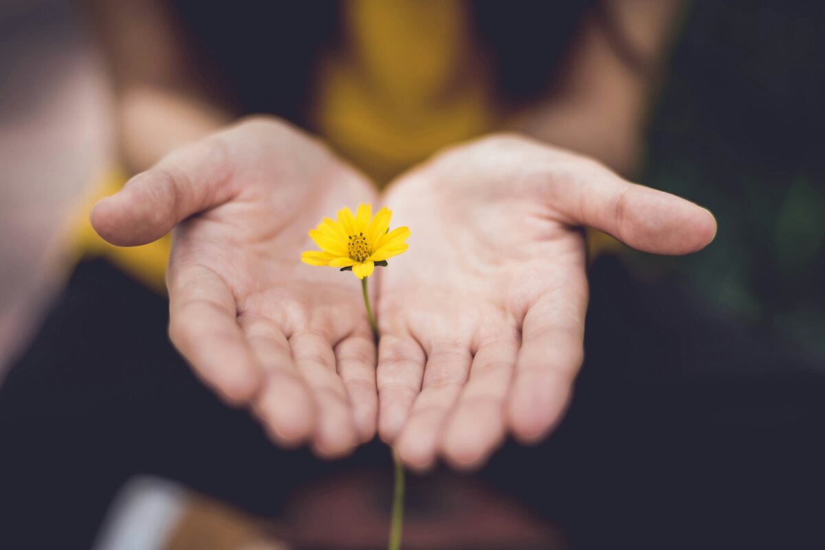 Wachstum, Blume in Hand