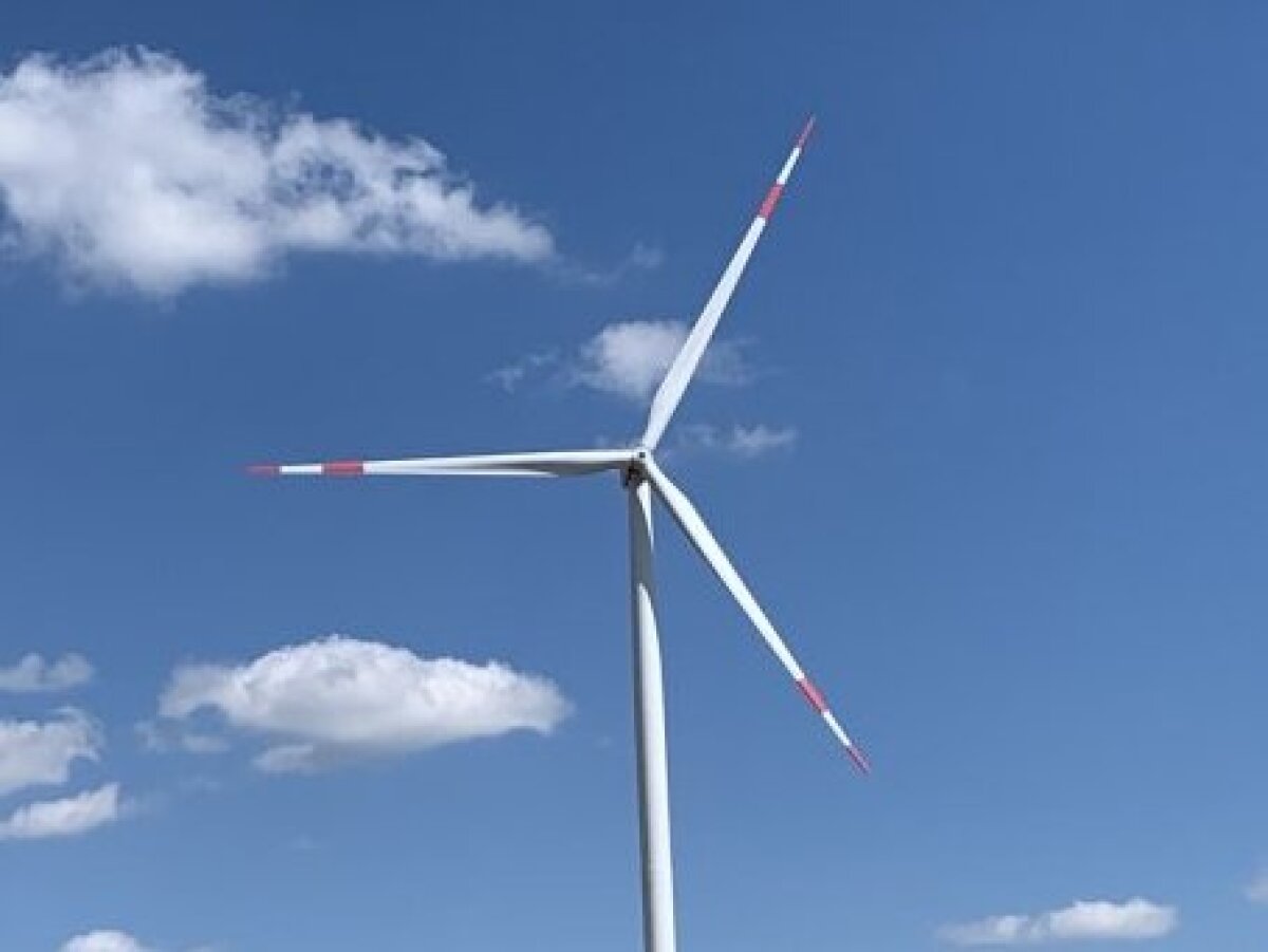 Mehrere Windkraftanlagen stehen in einer offenen Landschaft mit trockenen Wiesen und vereinzelten Bäumen im Hintergrund unter einem blauen Himmel mit wenigen Wolken.
