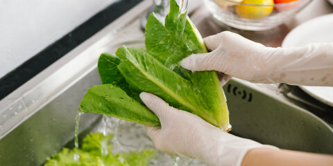 Woman washing fresh vegetables at kitchen sink, practicing hygiene and food safety indoors to prevent illness during pandemic, ensuring healthy lifestyle and cleanliness.