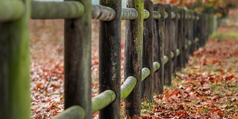 Ein Holzzaun mit grünlichem Moos bewachsen, der diagonal in die Tiefe des Bildes verläuft. Der Boden ist mit herbstlichen, orangebraunen Blättern bedeckt.