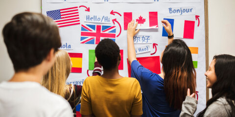 Teenager people at the national flags board