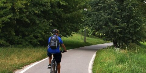 Ein Radfahrer mit Helm und Rucksack fährt auf einem asphaltierten Weg durch eine grüne Landschaft. Rechts neben dem Weg fließt ein schmaler Bach.