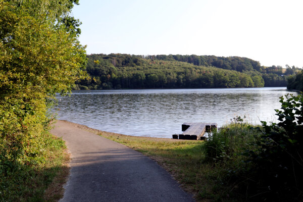 Ein asphaltierter Weg führt an einem See entlang, umgeben von grünen Bäumen und Sträuchern. Rechts ist ein kleiner Steg am Wasser zu sehen.