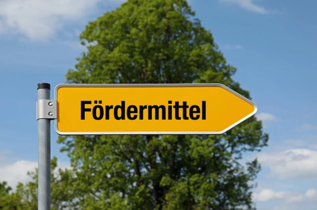 Pfeil mit Baum FÖRDERMITTEL