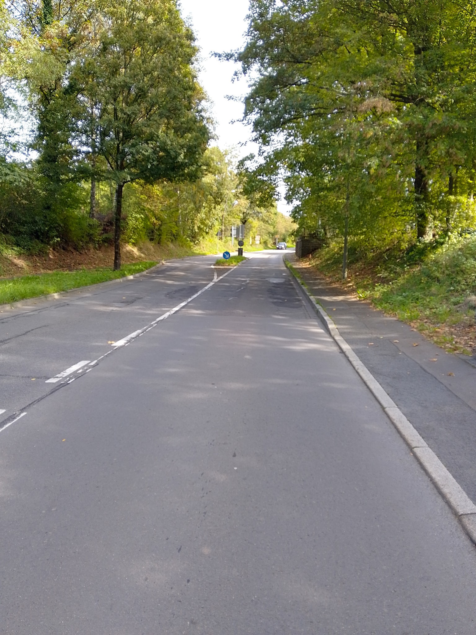 Straße mit Asphaltbelag, umgeben von Bäumen und Grünflächen. Ein Verkehrsschild und ein kleiner Kreisverkehr sind in der Ferne sichtbar.