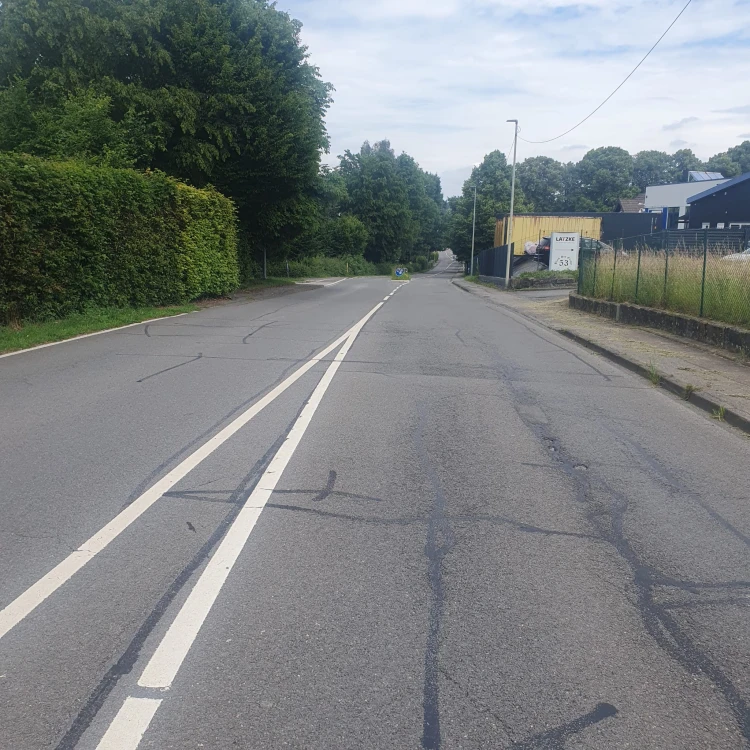 Eine asphaltierte Straße mit weißen Fahrbahnmarkierungen, umgeben von grünen Hecken und Bäumen. Rechts ist ein Zaun und ein Gebäude sichtbar.