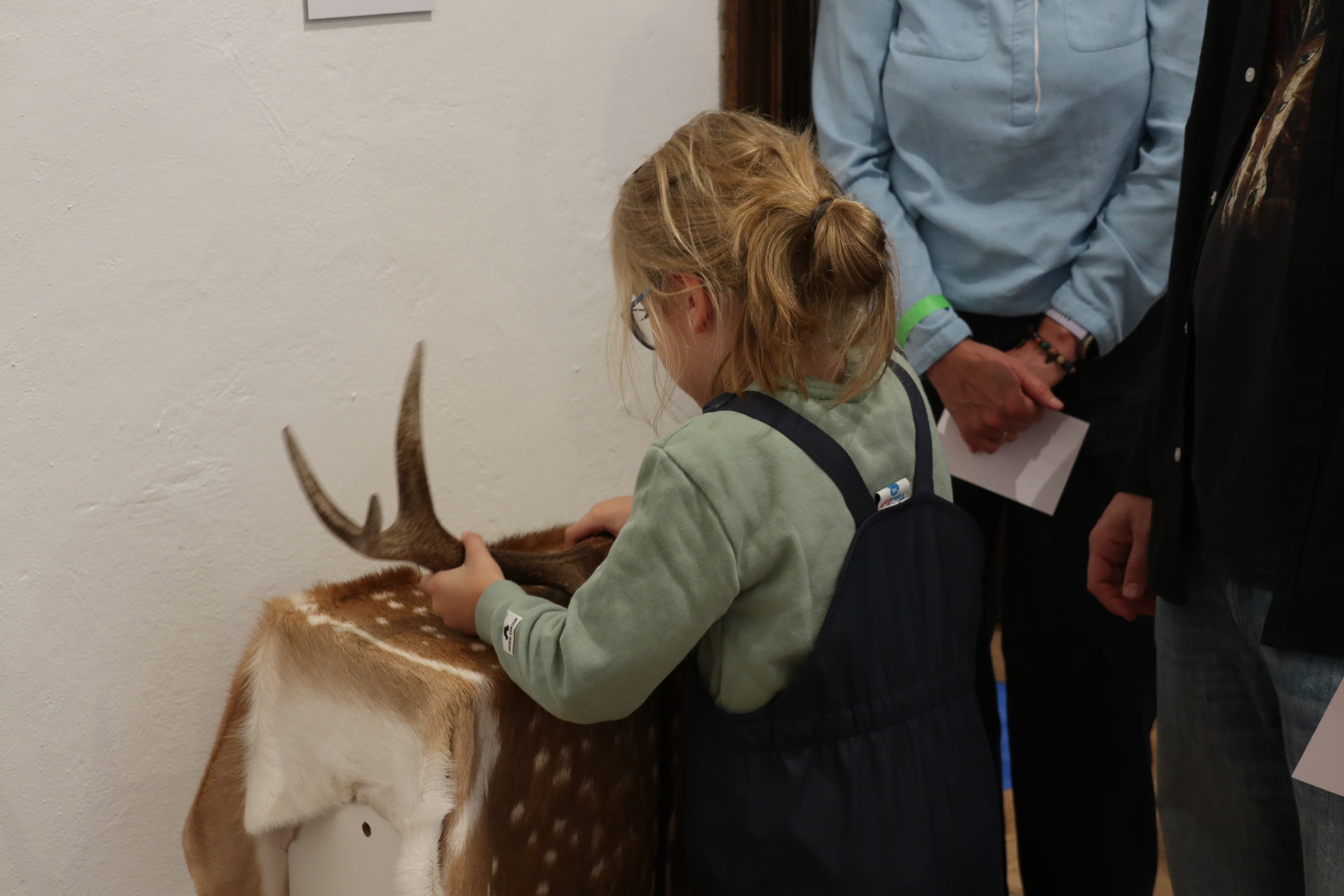 Ein Kind mit Brille und grünem Pullover berührt ein ausgestopftes Tierfell mit Geweih. Im Hintergrund stehen zwei Erwachsene, von denen nur Teile sichtbar sind.